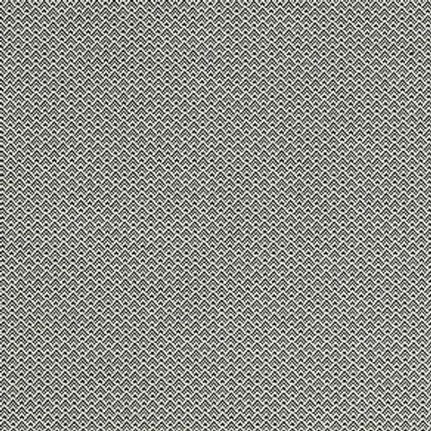 Bw1032 Black / White Upholstery Fabric