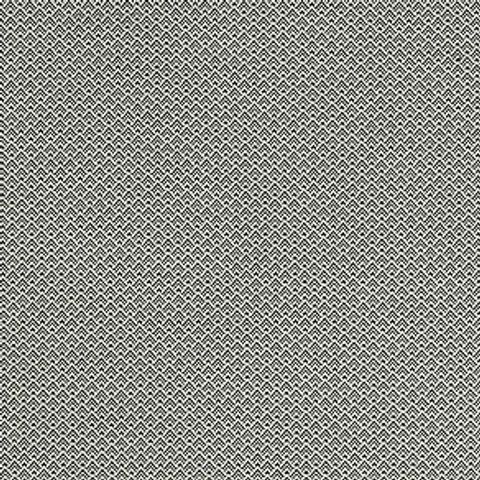Bw1032 Black / White Upholstery Fabric