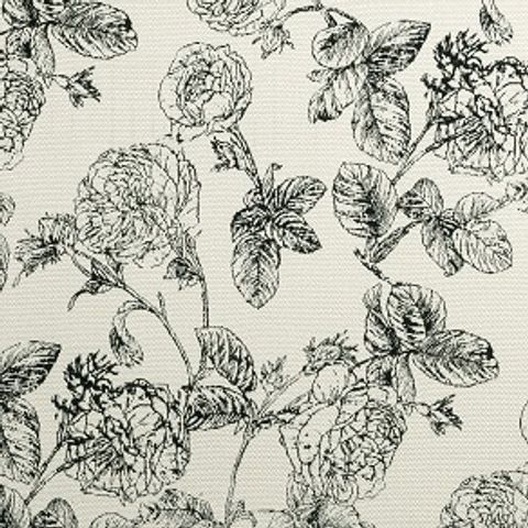 Bw1035 Black / White Upholstery Fabric