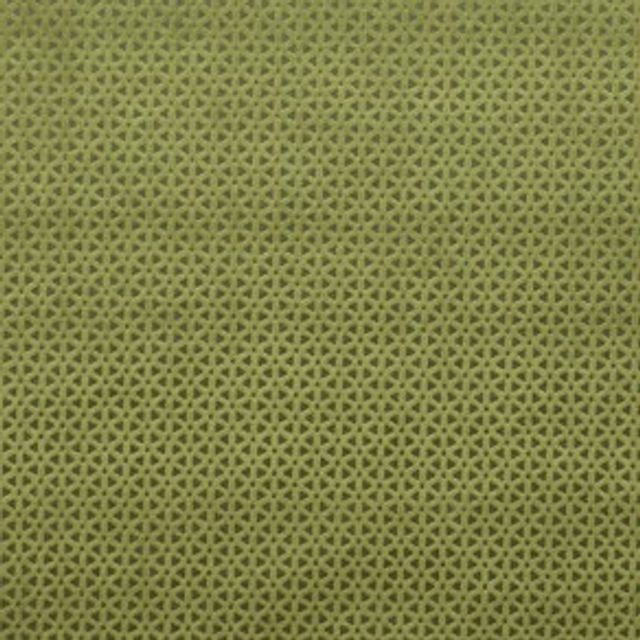 Studio G Lustro Loreto Olive