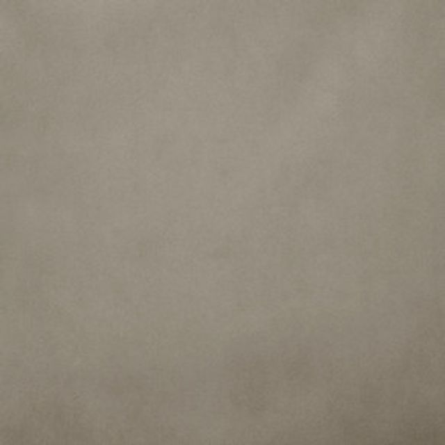 Ashley Wilde Alaska Alaska Otter