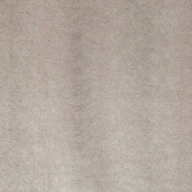 Kai  Allegra Candyfloss