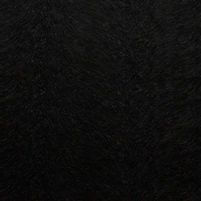 Kai Allegra Allegra Coal