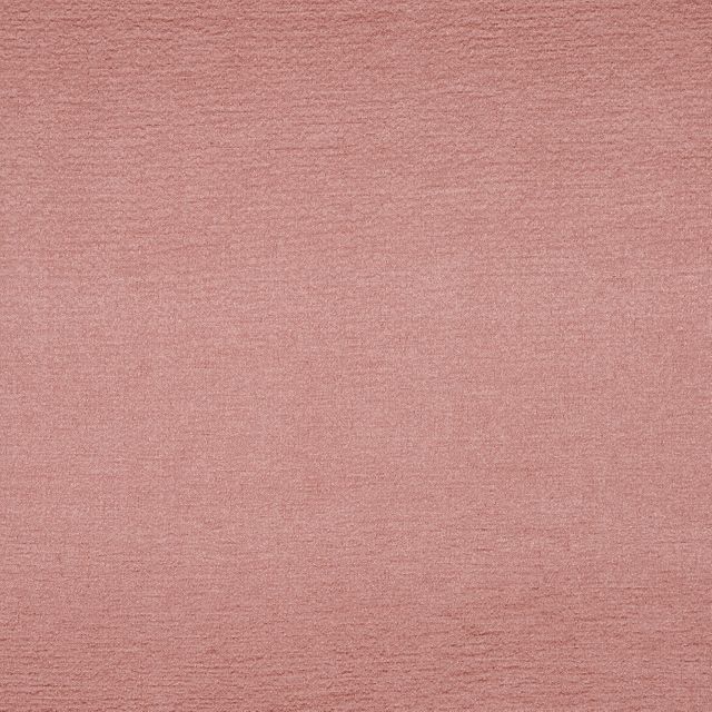 Prestigious Textiles Secret and Mystery Secret Petal