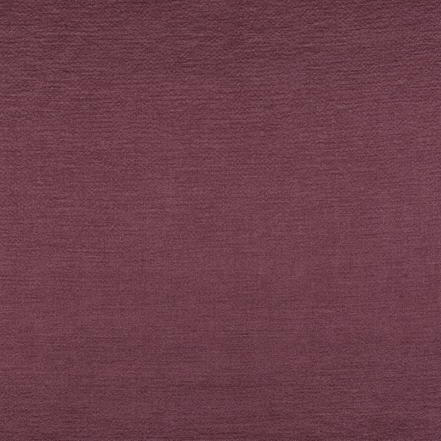 Prestigious Textiles Secret and Mystery Secret Port