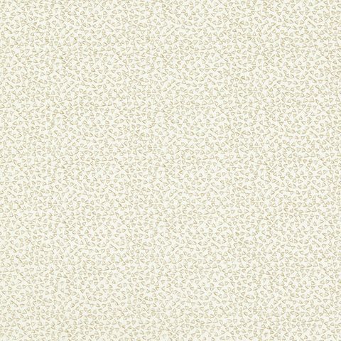 Ricamo Ivory Voile Fabric