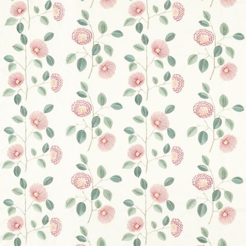 Monique Blush/Raspberry