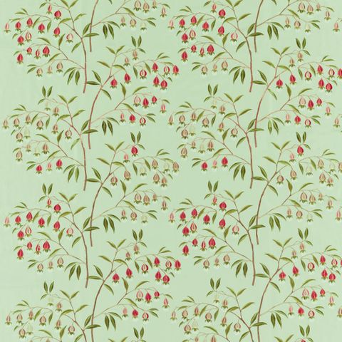 Chinese Lantern Mint & Apricot