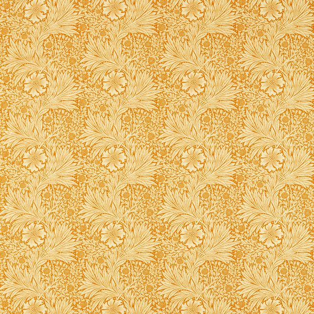 Marigold Cream/Orange