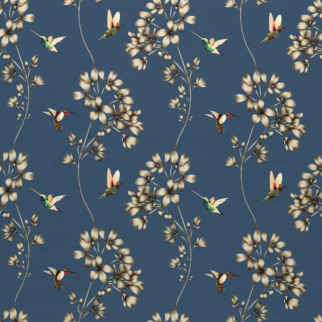 Harlequin Colour 1 Amazilia Indigo