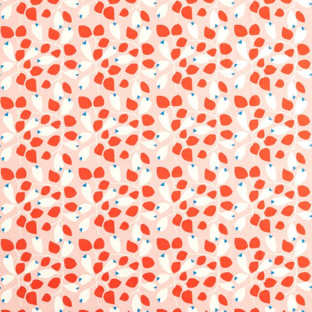 Scion Garden Of Eden Rosehip Milkshake/Poppy