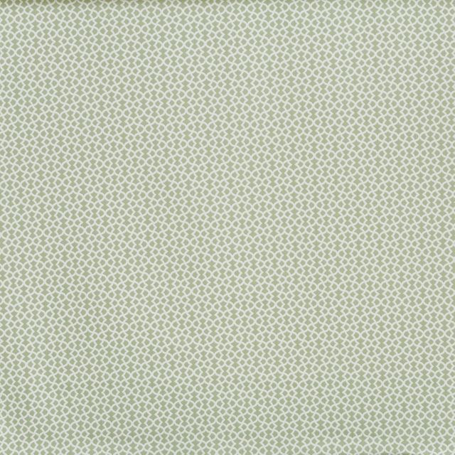 Prestigious Textiles Craft Ivy Basil