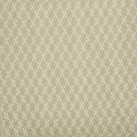 Willow Basil Voile Fabric