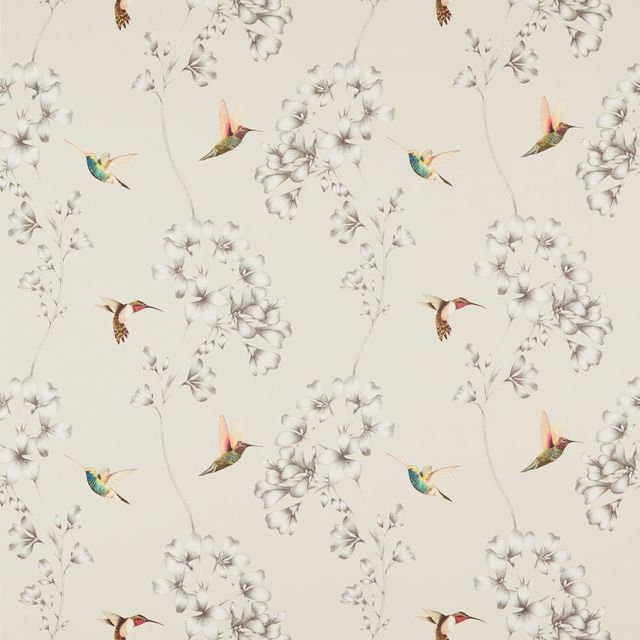 Harlequin Colour 1 Amazilia Ecru