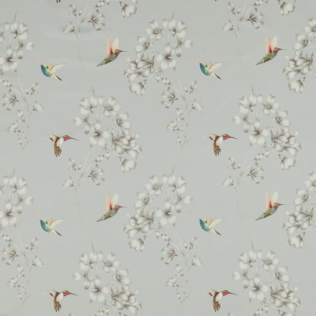 Harlequin Colour 1 Amazilia French Grey