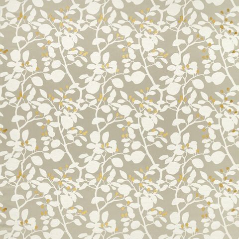 Ardisia Diffused Light