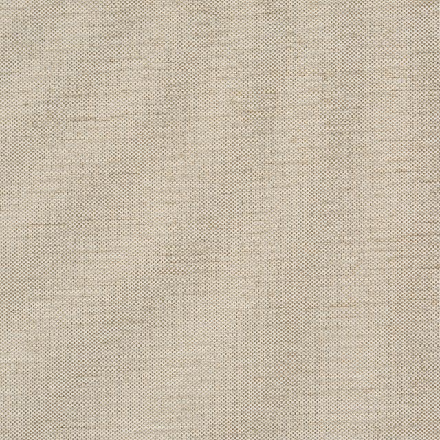 Prestigious Textiles Ezra Leon Hessian