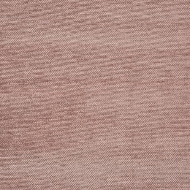 Prestigious Textiles Ezra Leon Sorbet