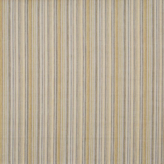 Prestigious Textiles English Garden Lawn Daffodil