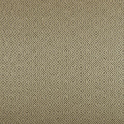 Draco Gold Upholstery Fabric