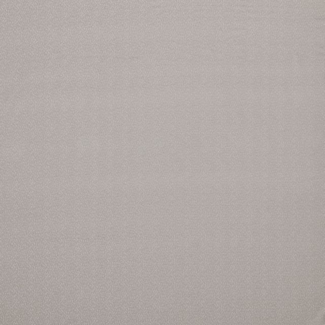 Ashley Wilde Visage Lanux Silver