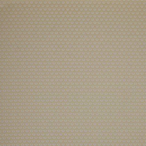 Poiret Champagne Voile Fabric