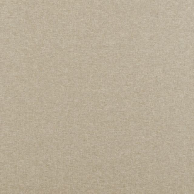 Ashley Wilde Comet Norma Champagne