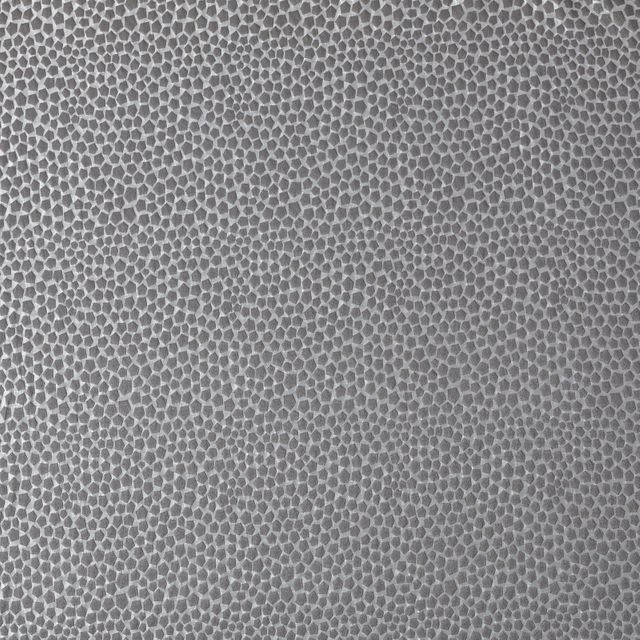 Ashley Wilde Comet Taurus Graphite