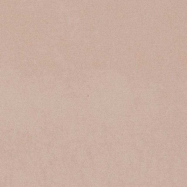 Ashley Wilde  Arezzo Shell Sample