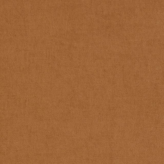 Ashley Wilde  Arezzo Tan Sample