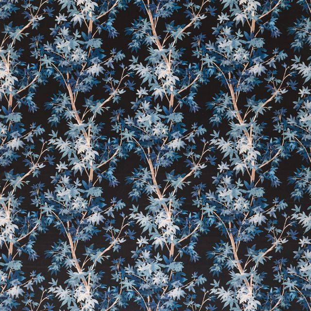 Ashley Wilde Tahiti Aspen Midnight