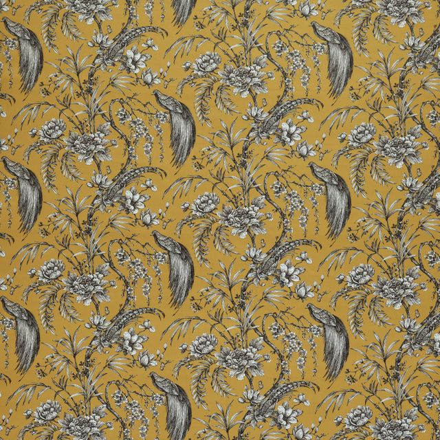 Ashley Wilde Tahiti Botanist Citrus