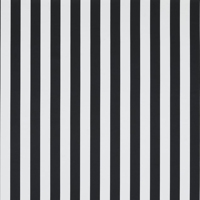 Monochrome Stripe