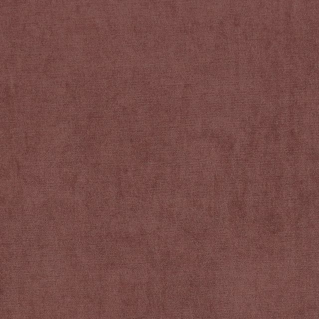 Ashley Wilde  Arezzo Berry Sample