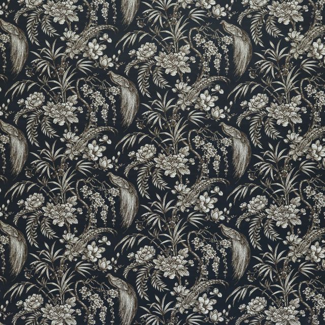 Ashley Wilde Tahiti Botanist Ocean