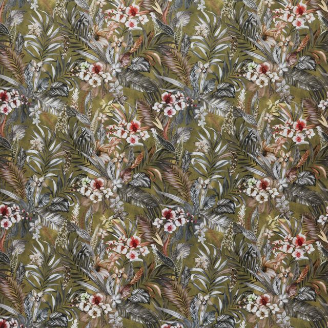 Ashley Wilde Tahiti Kew Olive