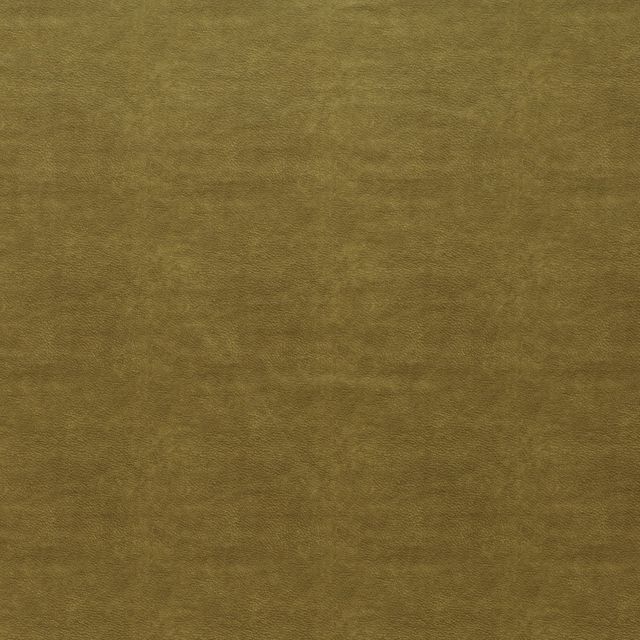 Ashley Wilde Tahiti Marina Olive