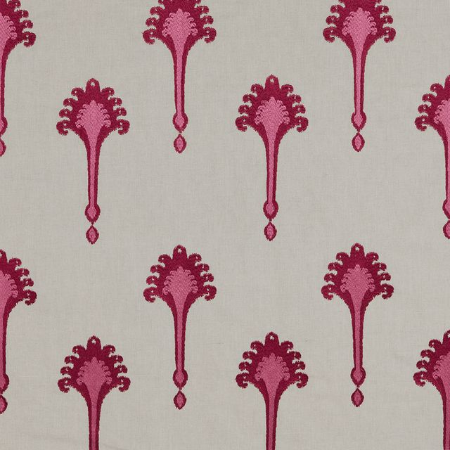 iLiv  Ashiki Begonia Sample