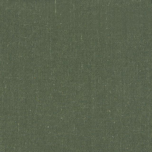 Chakra Evergreen Upholstery Fabric
