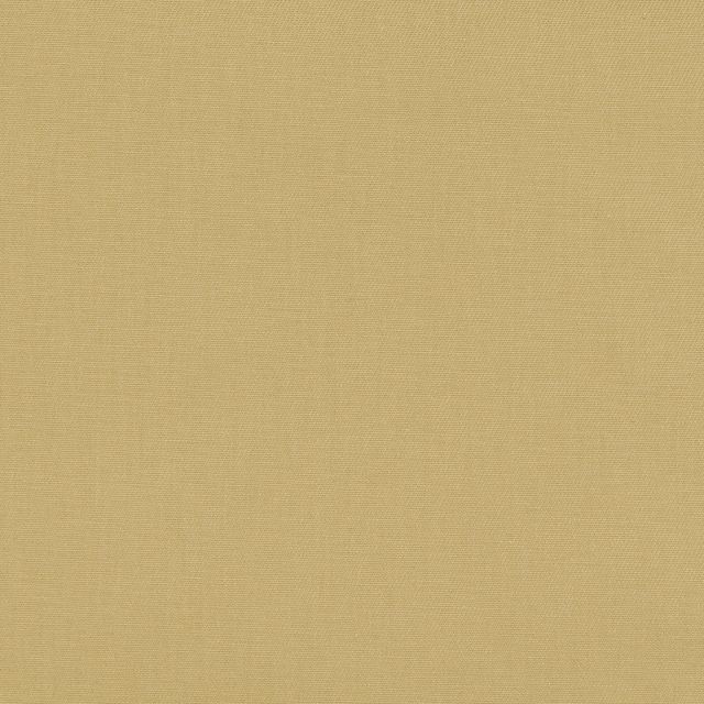 iLiv Sustainable Plains 2 Karuna Amber Upholstery Fabric