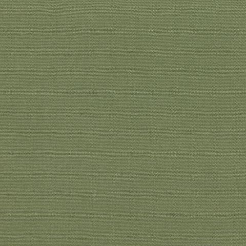 Karuna Olive Cushion