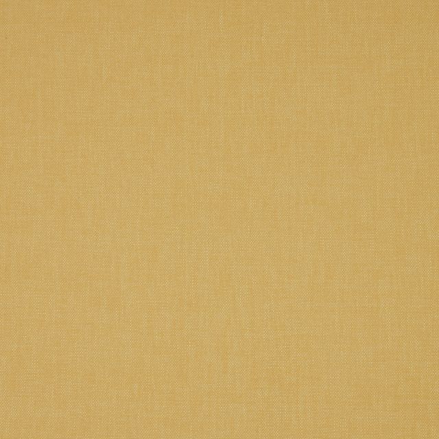 iLiv Sustainable Plains 2 Nadi Amber Upholstery Fabric