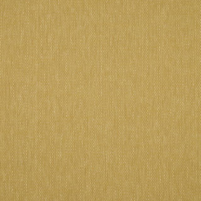 iLiv Sustainable Plains 2 Suvita Amber Upholstery Fabric