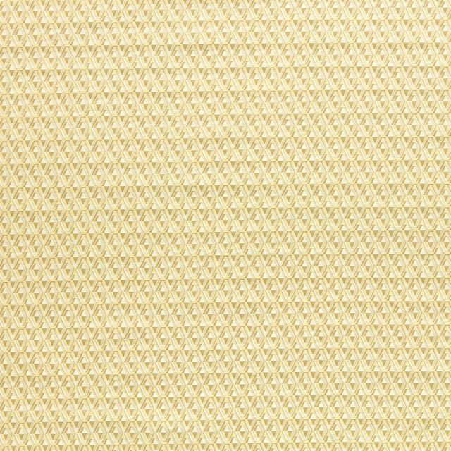 Zoffany Domino Weaves Domino Diamond Silk Yellow