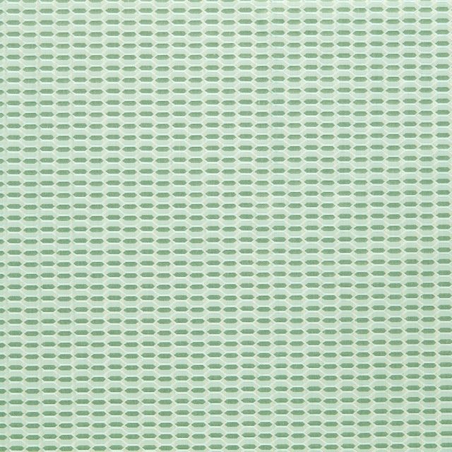 Domino Trellis Eau De Nil Upholstery Fabric