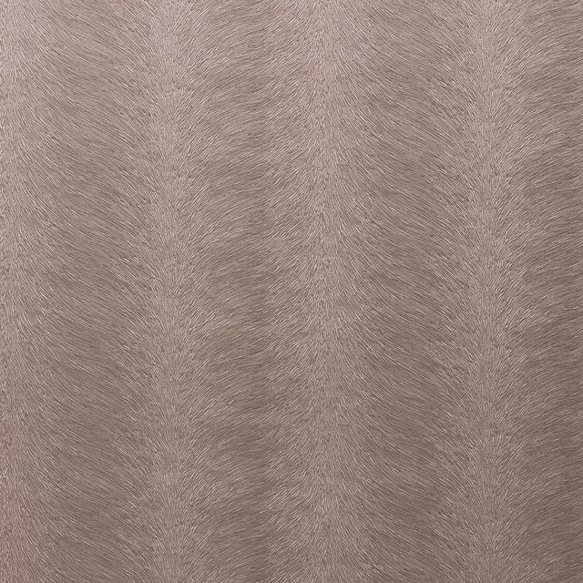 Kai Allegra 2 Allegra Candyfloss