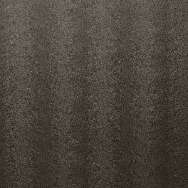 Kai  Allegra Mercury