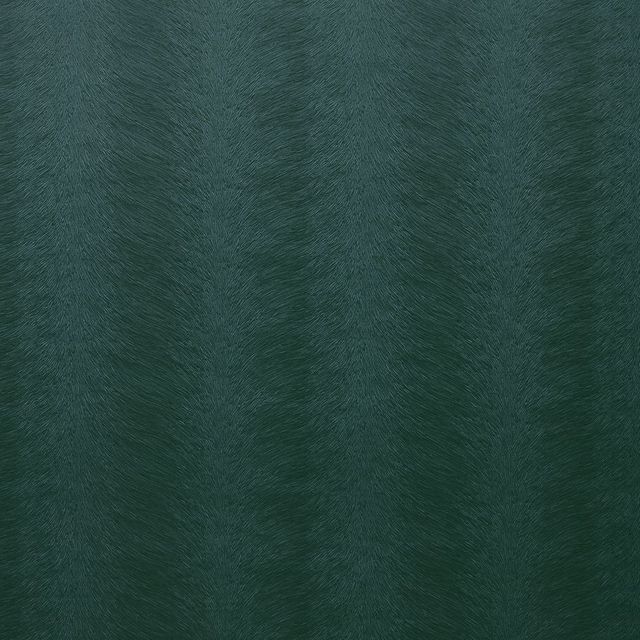 Kai Allegra 2 Allegra Peacock