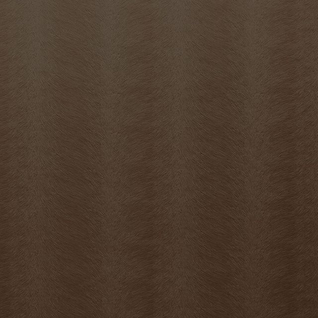 Kai Allegra 2 Allegra Truffle