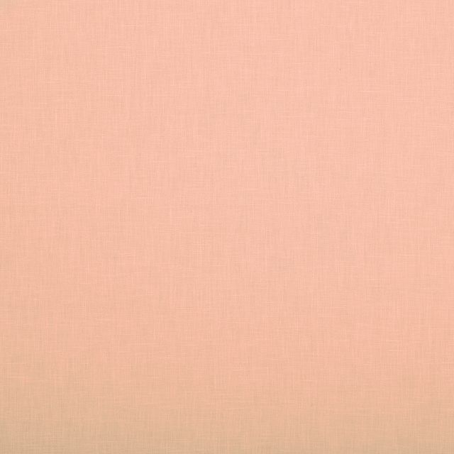 Ashley Wilde Cole 2 Cole Blush